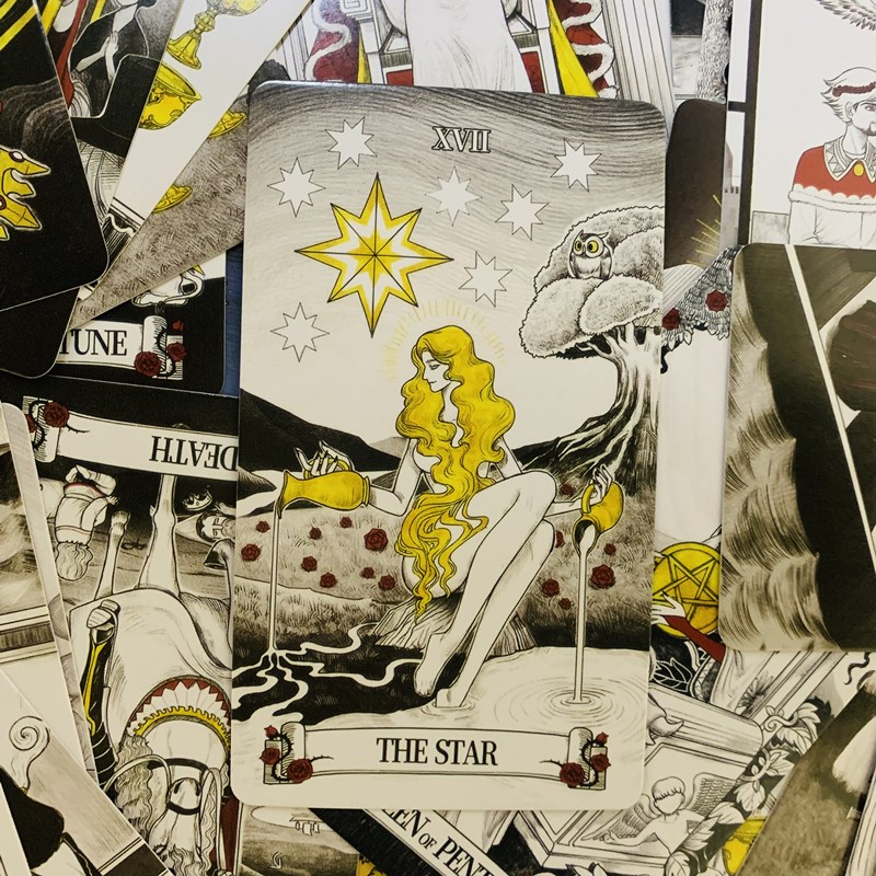 Secret Mirror Tarot cards 80 d - Board Game Of Life recension och pris
